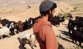 تقرير: البؤر الاستيطانية والمزارع الرعوية وجه جديد للاستيطان