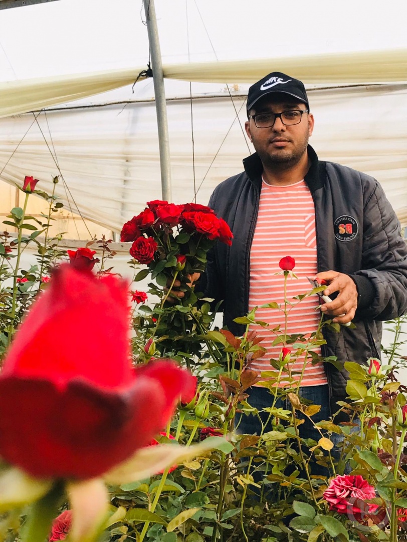 في زمن الكورونا .. أين تذهب ورود غزة الجميلة