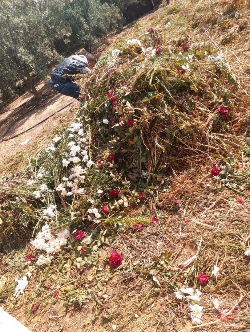 في زمن الكورونا .. أين تذهب ورود غزة الجميلة