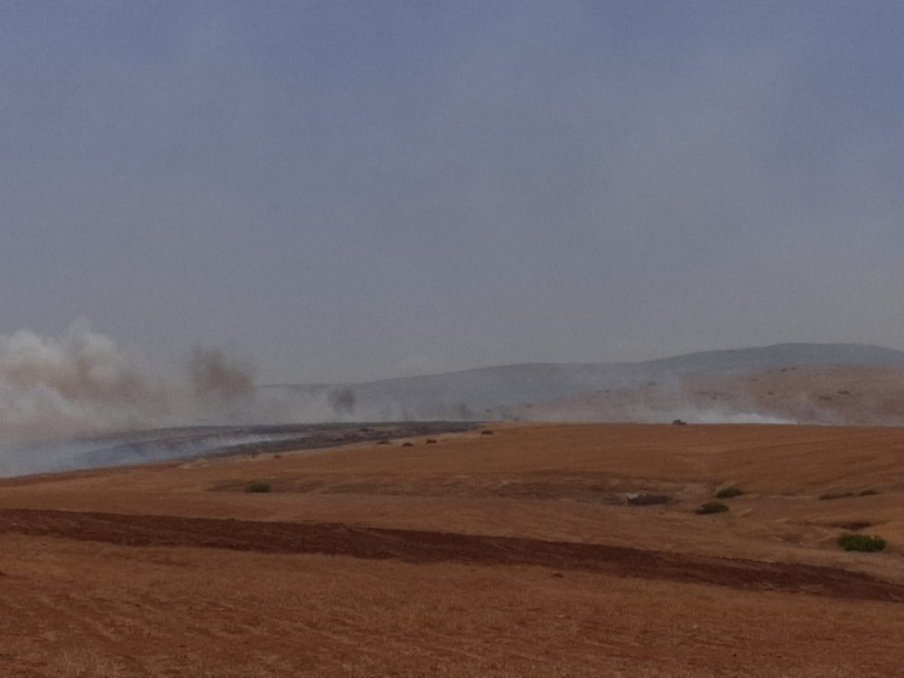 الاحتلال يتسبب باحتراق آلاف الدونمات الزراعية في الأغوار 