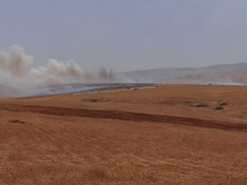 الاحتلال يتسبب باحتراق آلاف الدونمات الزراعية في الأغوار 