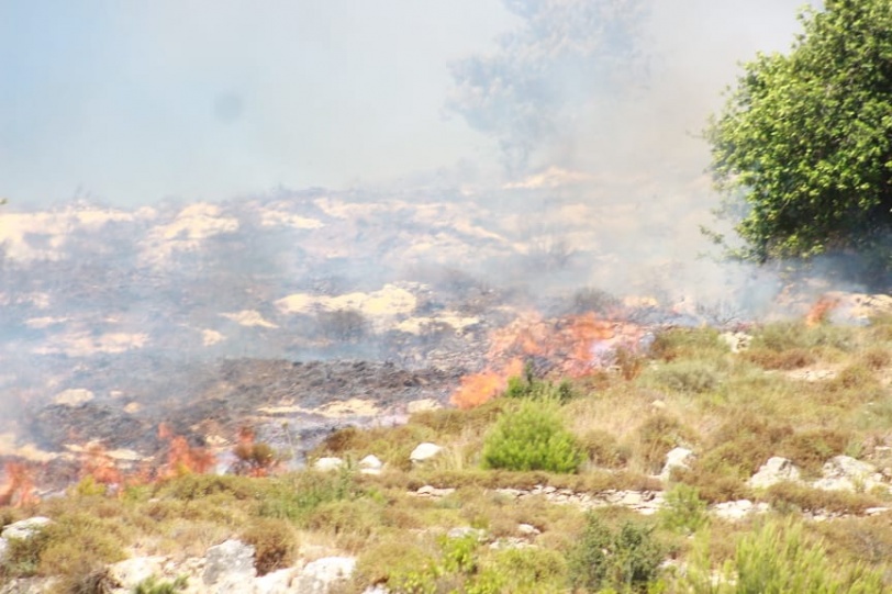 مستوطنون يضرمون النار بعشرات الدونمات في اراضي برقة