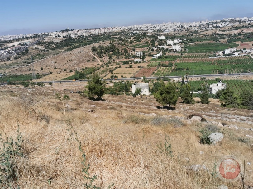 صور- الاحتلال يقطع نحو 100 شجرة زيتون شرق الخليل