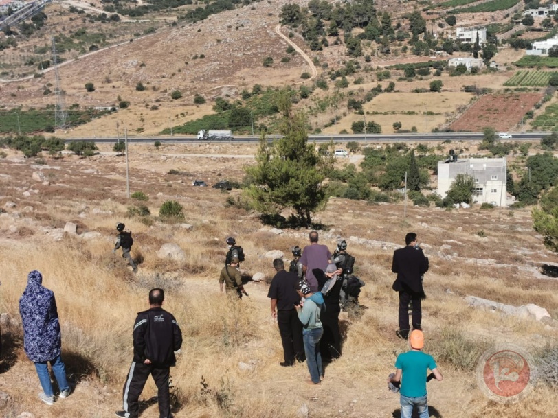 صور- الاحتلال يقطع نحو 100 شجرة زيتون شرق الخليل
