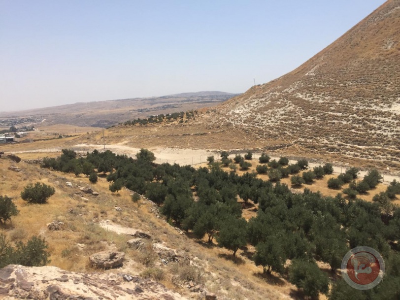صور- الاحتلال يصادر 700دونم في منطقة جبل الفرديس