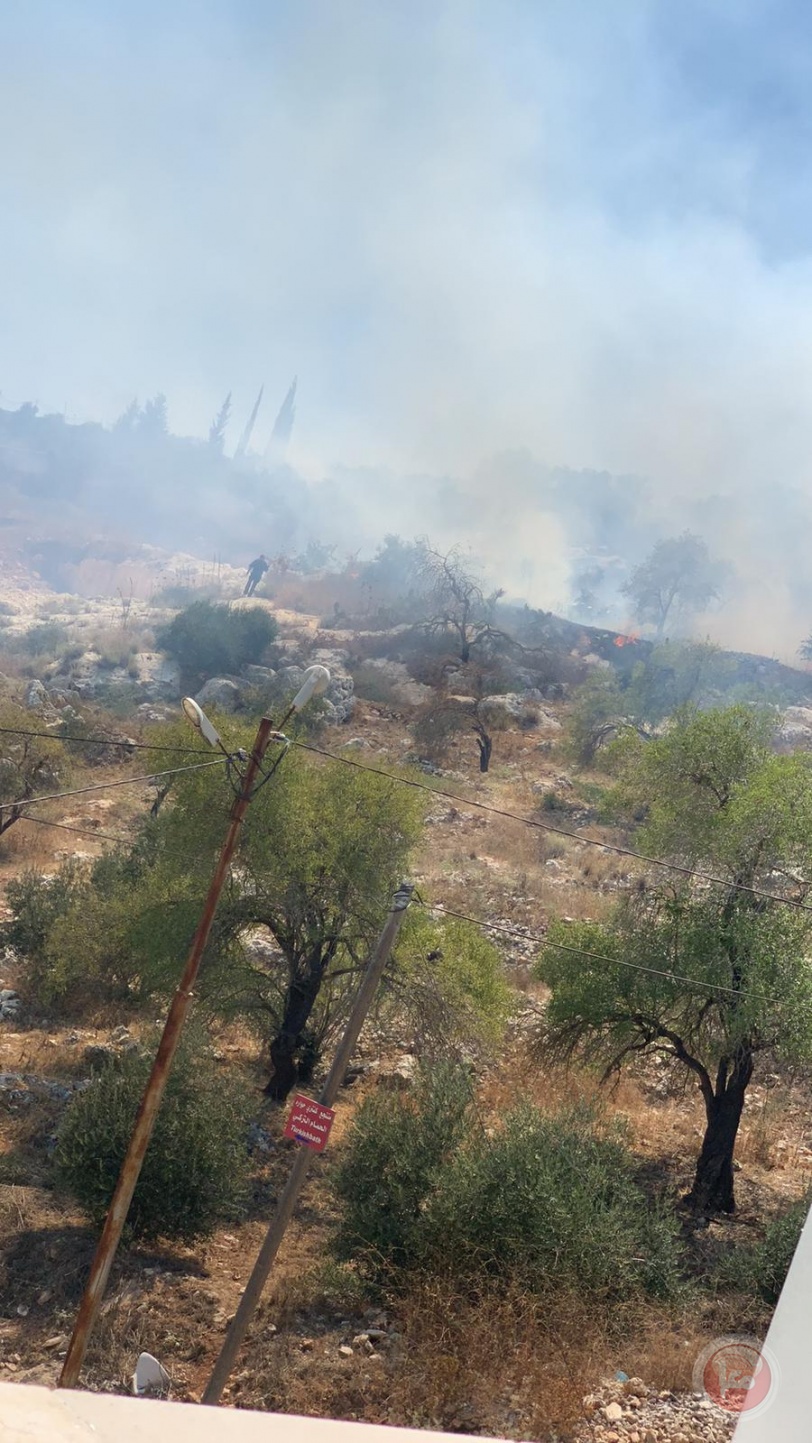 مستوطنون يضرمون النار بأراض جنوب نابلس