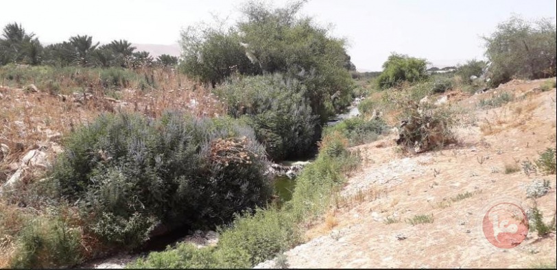 إسرائيل: نكافح نبتة خطيرة تنتشر بالضفة