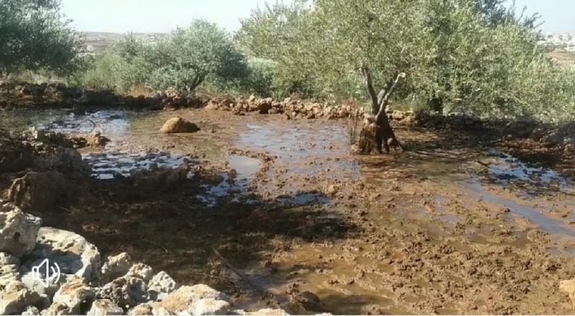 محافظ سلفيت: سنفضح جرائم الاحتلال ومستوطنيه