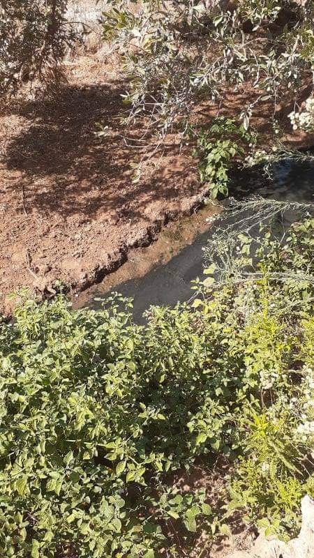 محافظ سلفيت: سنفضح جرائم الاحتلال ومستوطنيه