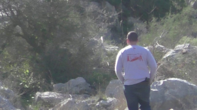 مستوطنون يعتدون على ممتلكات المواطنين بسلفيت (صور)