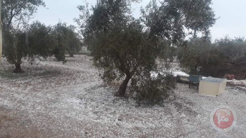 صور- غزة تحتفل بسقوط حبات البَرَد