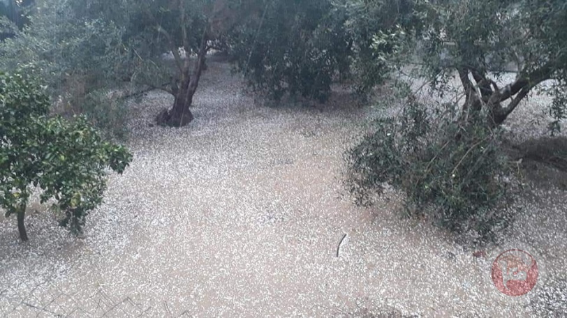 صور- غزة تحتفل بسقوط حبات البَرَد