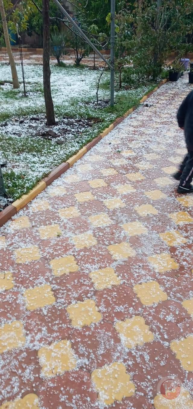 صور- غزة تحتفل بسقوط حبات البَرَد