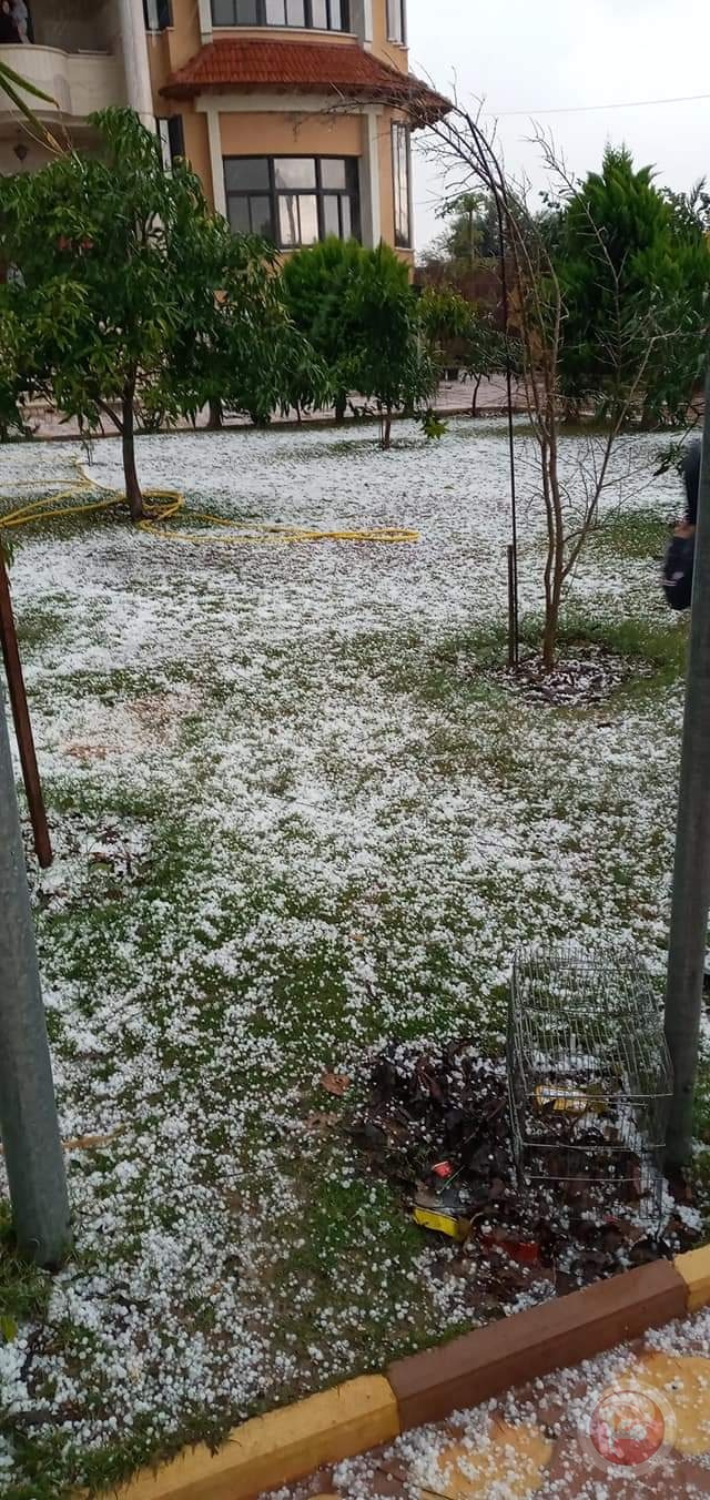 صور- غزة تحتفل بسقوط حبات البَرَد