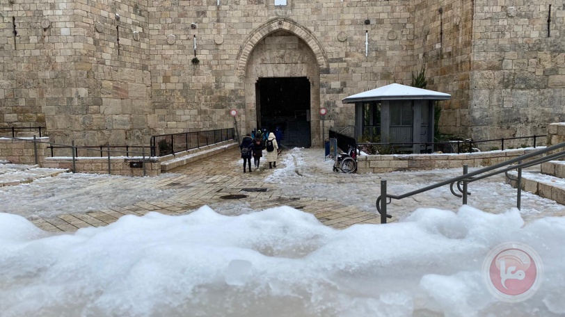 صور- الزائر الأبيض يزين القدس ويبهج أهلها