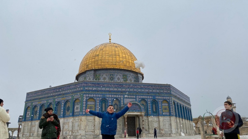 صور- الزائر الأبيض يزين القدس ويبهج أهلها