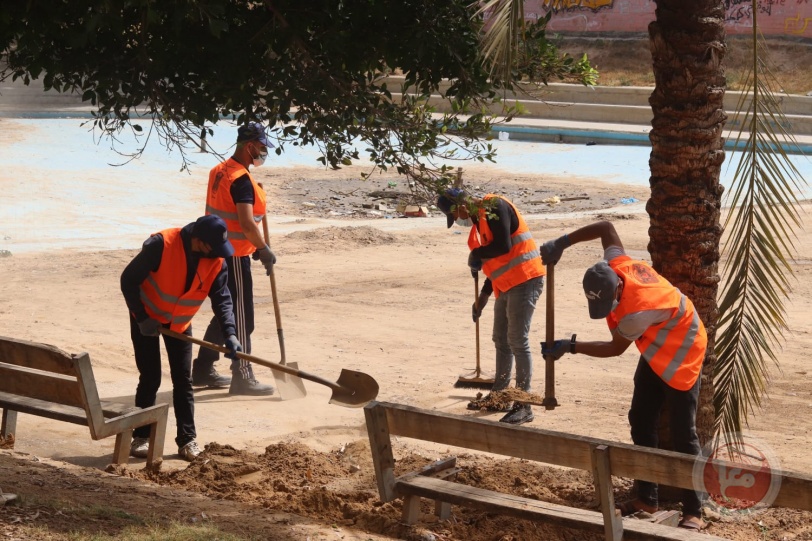 بلدية غزة تبدأ بتنفيذ مشروع لزيادة المساحات الخضراء وتقليم الأشجار