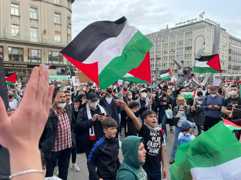 تظاهره تأييدا لفلسطين في ڤيينا