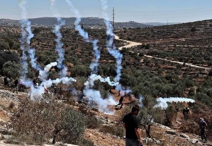 صور- 421 اصابة خلال مواجهات مع الاحتلال جنوب نابلس
