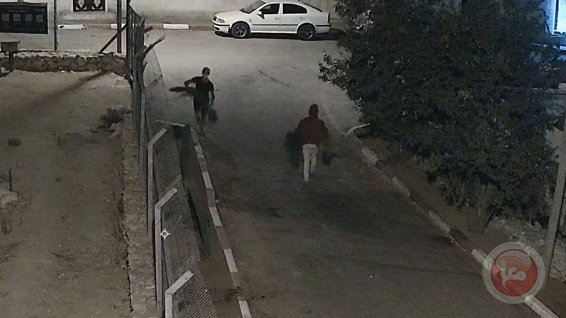 مستوطنون يسرقون اشجارا من حديقة منزل في الخليل (فيديو)