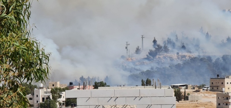 إخلاء بيوت.. حريق ضخم في أحراش "الزير" قرب مستوطنة تقوع (صور)