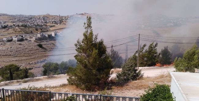 إخلاء بيوت.. حريق ضخم في أحراش "الزير" قرب مستوطنة تقوع (صور)