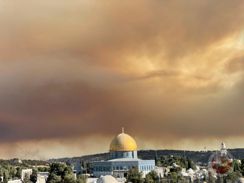 حريق كبير بجبال القدس وإخلاء منازل للمستوطنين (صور)