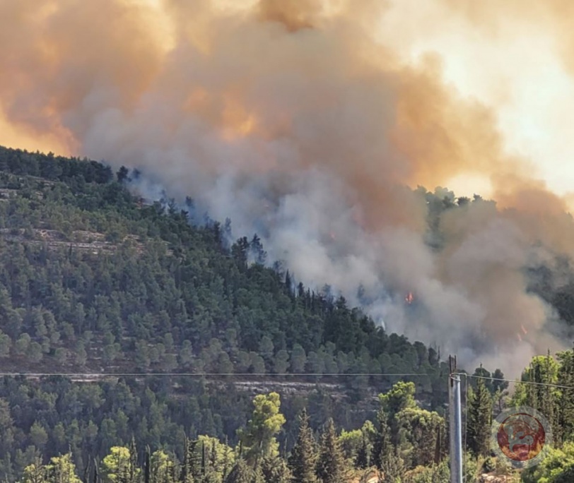 (شاهد) تجدد الحريق بغابات القدس والنيران تشتعل بـ20 ألف دونم