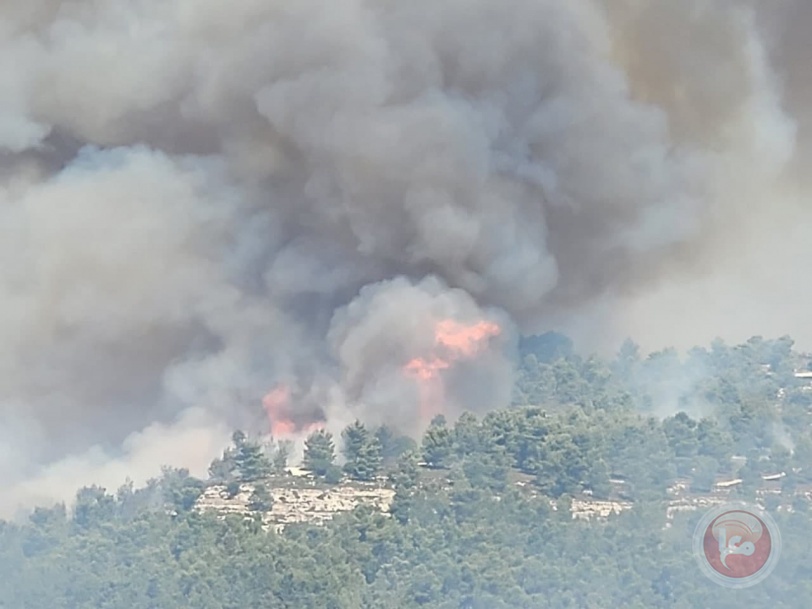 (شاهد) تجدد الحريق بغابات القدس والنيران تشتعل بـ20 ألف دونم
