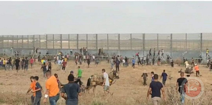 تظاهر كبيرة للفصائل قرب الحدود شرق مدينة غزة
