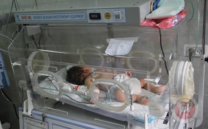 قطاع غزة يُسجل 4621 مولوداً جديداً خلال أغسطس