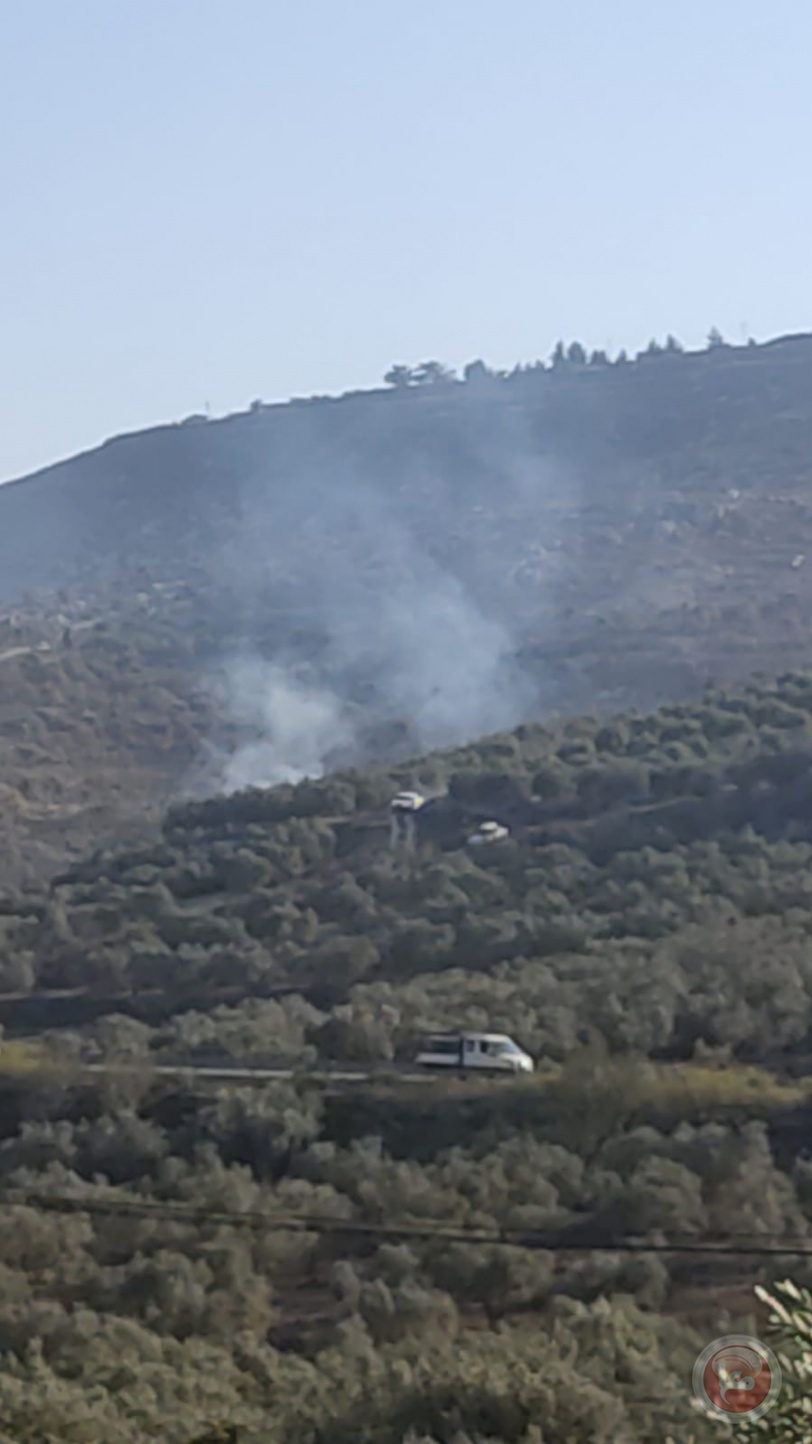 الثالث خلال 48 ساعة.. مستوطنون يضرمون النار بأراضي بورين