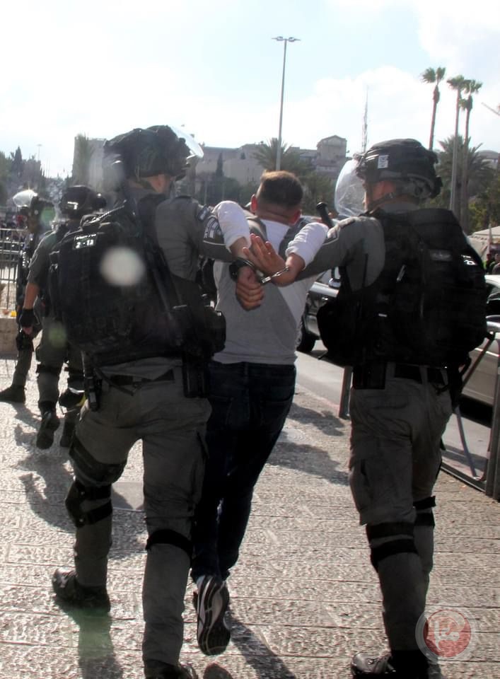  الاحتلال يعتقل 3 اشخاص ويعتدي على المواطنين في باب العامود 