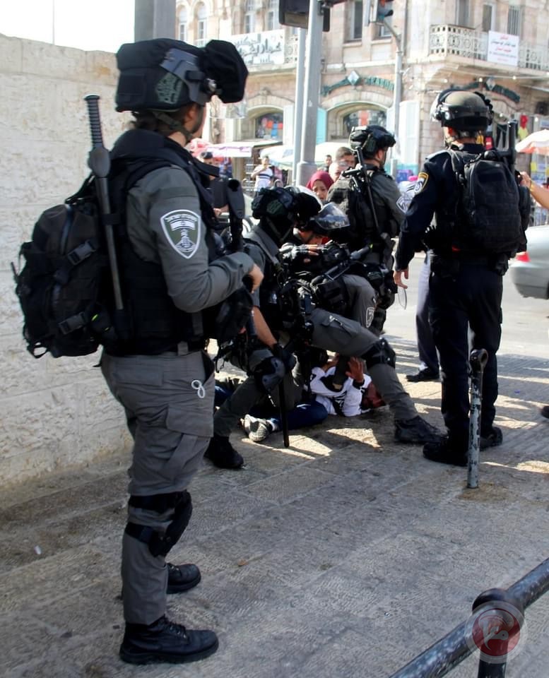  الاحتلال يعتقل 3 اشخاص ويعتدي على المواطنين في باب العامود 
