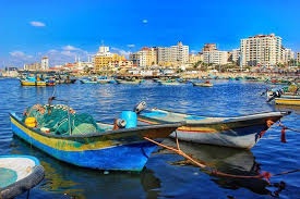 النقل والمواصلات بغزة: مبادرة تخفيضات الترخيص تشمل وسائط الإبحار
