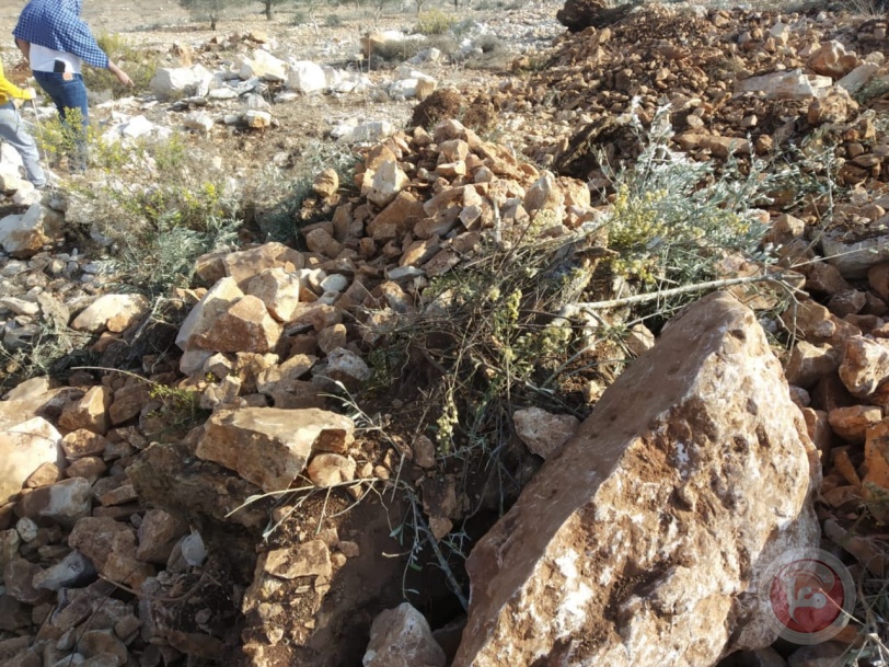 تجريف مساحات واسعة واقتلاع أشجار غرب سلفيت