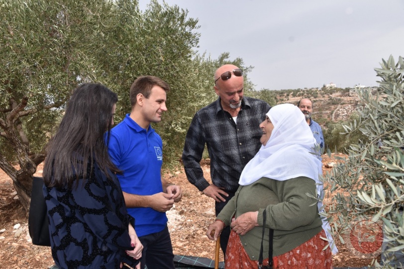 المركز الفلسطيني للبحوث والتنمية الزراعية ينظم فعالية لقطاف الزيتون في نابلس