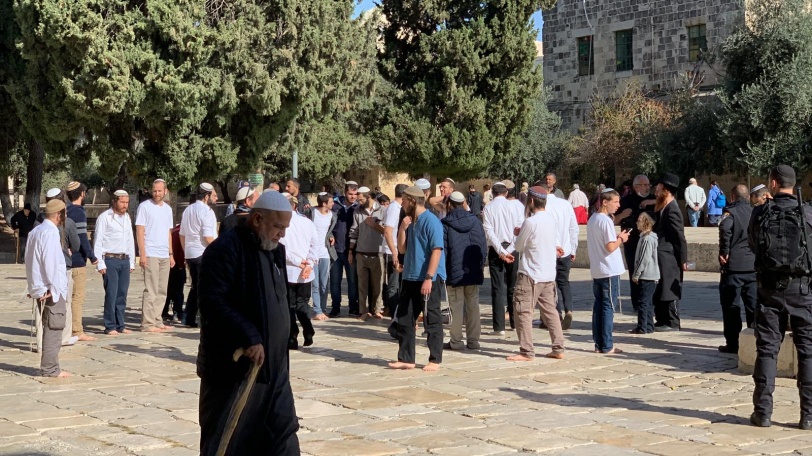 شاهد- عضو الكنيست بن غفير و295 مستوطنا يقتحمون المسجد الأقصى