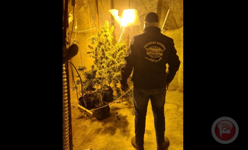 ضبط مشتل لزراعة المخدرات في ضواحي القدس 
