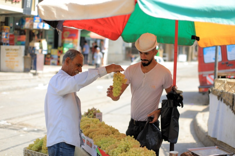 اليوم- غزة في صور