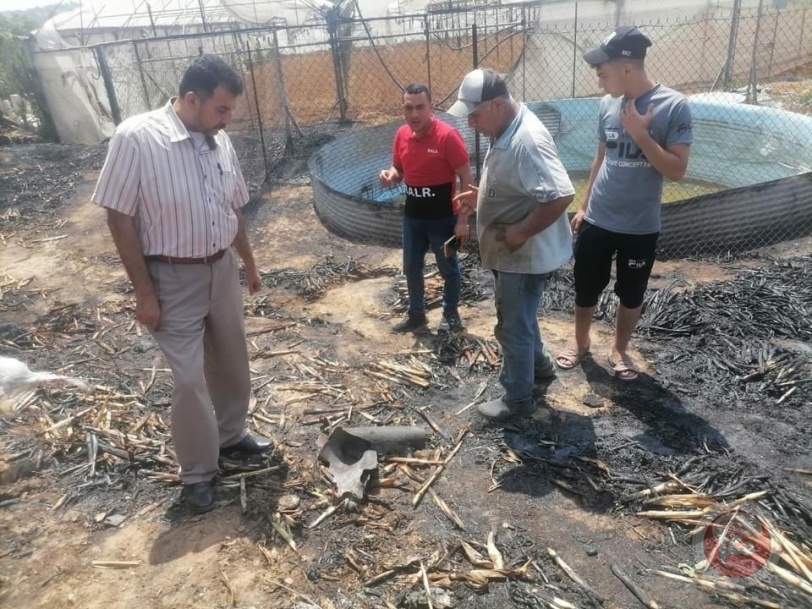 الزراعة تقدر خسائر القطاع الزراعي في العدوان بمليون دولار