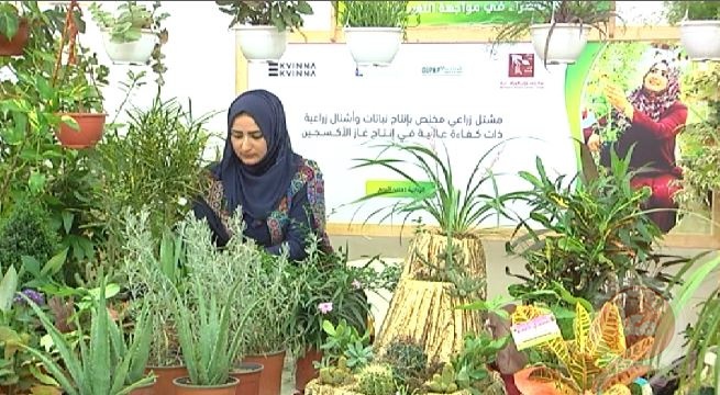 خان يونس: الشابة حنين البريم تدخل اصناف جديدة من المزروعات لغزة