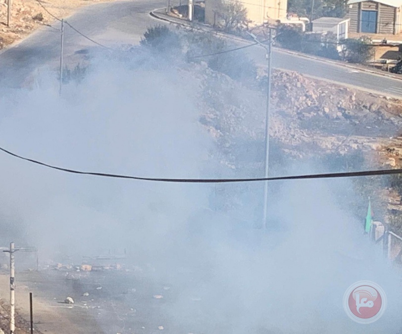 قوات الاحتلال تطلق قنابل الغاز صوب مدرسة ذكور تقوع