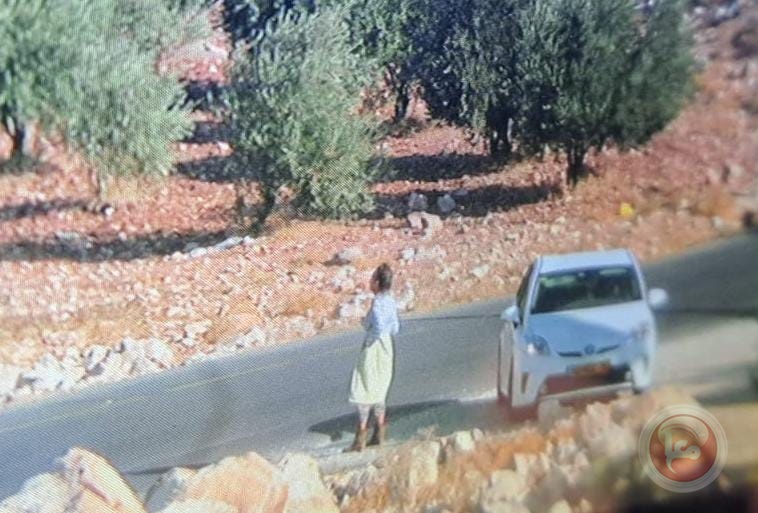مستوطنون يطعنون متضامنة ويعتدون على أخرى شرق بيت لحم