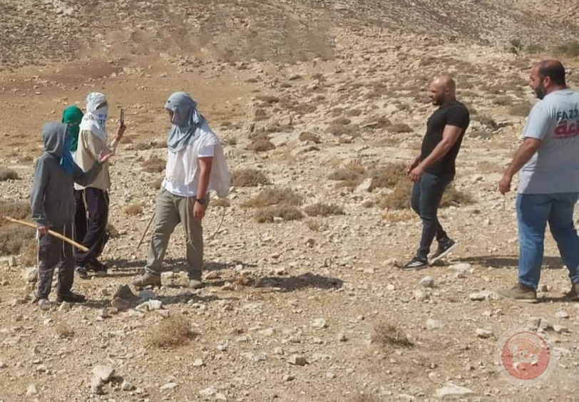 مستوطنون يطعنون متضامنة ويعتدون على أخرى شرق بيت لحم
