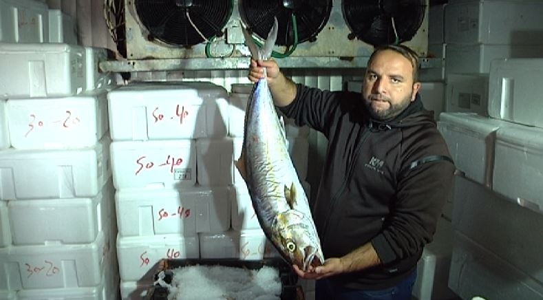 بقرار اسرائيلي.. أسماك غزة ممنوعة من الوصول لاسواق الضفة 