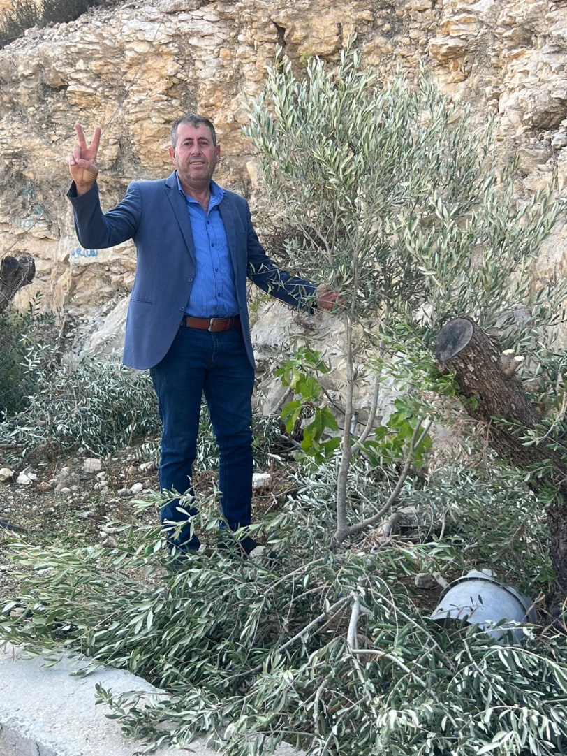 تجريف 150 دونما- الاحتلال يقتلع أكثر من 1500 شجرة زيتون غرب سلفيت