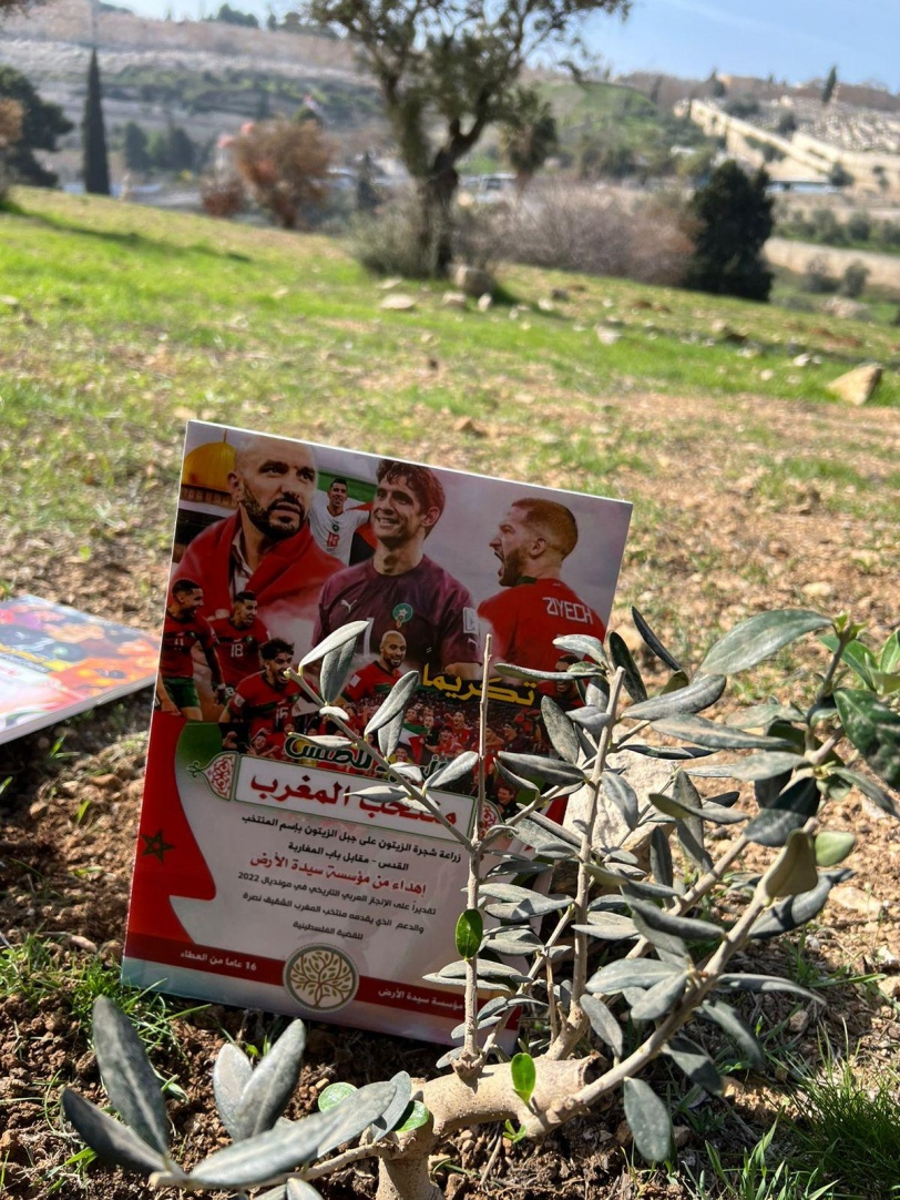 سيدة الارض تلتقي سفير المغرب مهنئة بفوز منتخبه الوطني بالوصول الى المربع الذهبي