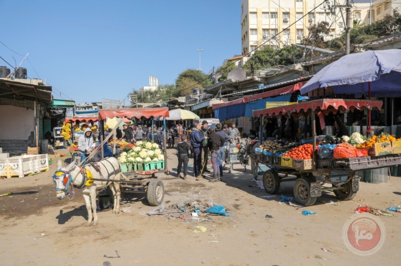 تطوير سوق فراس بغزة يثير قلق أصحاب المحلات والبلدية توضح