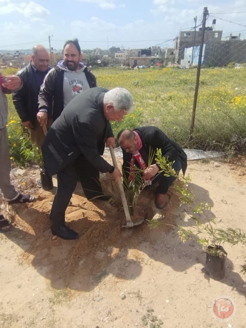 "الديمقراطية" تحيي ذكرى يوم الأرض بزراعة أشتال زيتون على حدود غزة